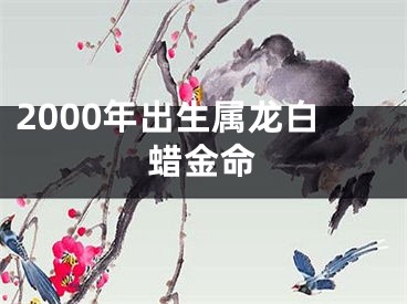 2000年出生属龙白蜡金命