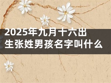 2025年九月十六出生张姓男孩名字叫什么
