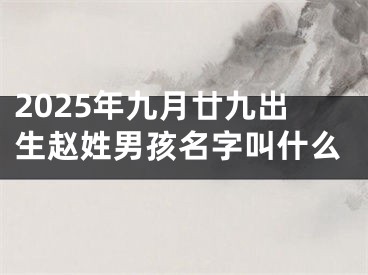 2025年九月廿九出生赵姓男孩名字叫什么