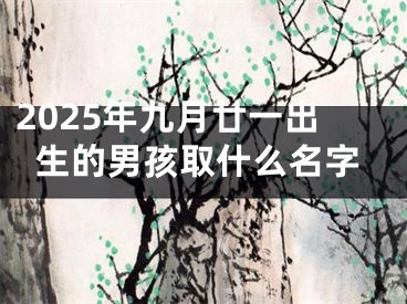 2025年九月廿一出生的男孩取什么名字
