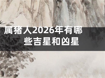 属猪人2026年有哪些吉星和凶星