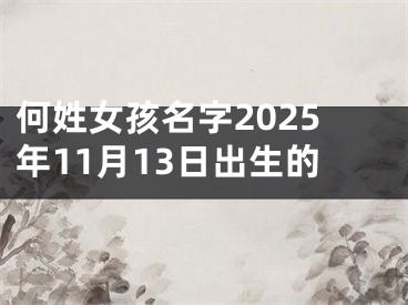 何姓女孩名字2025年11月13日出生的