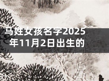 马姓女孩名字2025年11月2日出生的