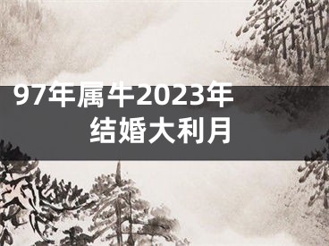 97年属牛2023年结婚大利月