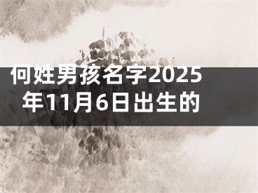 何姓男孩名字2025年11月6日出生的