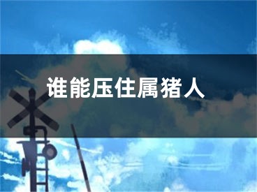 谁能压住属猪人