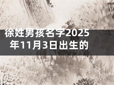 徐姓男孩名字2025年11月3日出生的