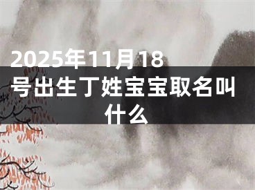 2025年11月18号出生丁姓宝宝取名叫什么