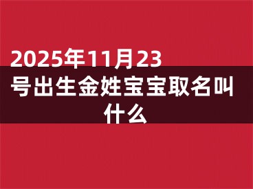 2025年11月23号出生金姓宝宝取名叫什么
