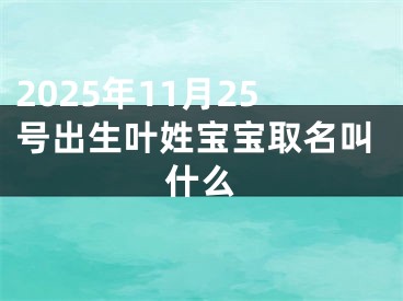 2025年11月25号出生叶姓宝宝取名叫什么