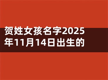 贺姓女孩名字2025年11月14日出生的