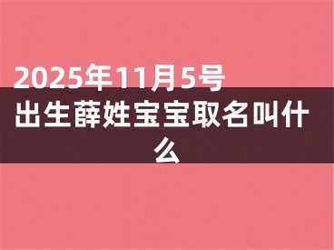 2025年11月5号出生薛姓宝宝取名叫什么