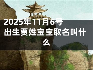 2025年11月6号出生贾姓宝宝取名叫什么
