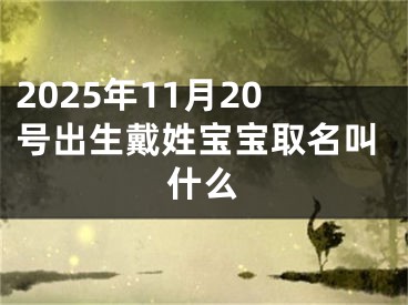 2025年11月20号出生戴姓宝宝取名叫什么