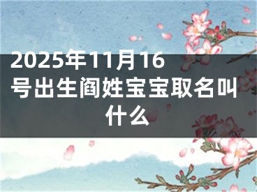 2025年11月16号出生阎姓宝宝取名叫什么