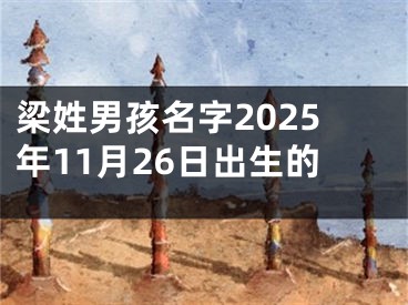 梁姓男孩名字2025年11月26日出生的