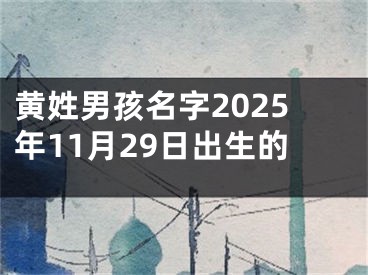 黄姓男孩名字2025年11月29日出生的