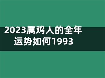 2023属鸡人的全年运势如何1993