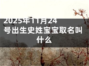 2025年11月24号出生史姓宝宝取名叫什么