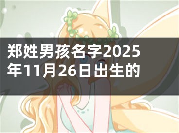 郑姓男孩名字2025年11月26日出生的
