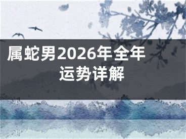 属蛇男2026年全年运势详解