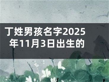 丁姓男孩名字2025年11月3日出生的