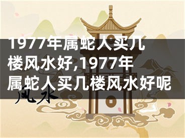 1977年属蛇人买几楼风水好,1977年属蛇人买几楼风水好呢
