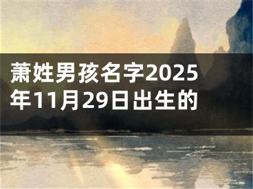 萧姓男孩名字2025年11月29日出生的