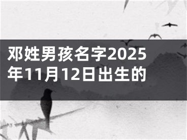 邓姓男孩名字2025年11月12日出生的