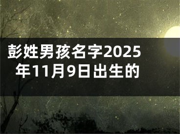 彭姓男孩名字2025年11月9日出生的
