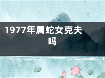 1977年属蛇女克夫吗