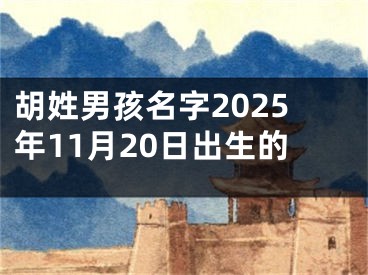 胡姓男孩名字2025年11月20日出生的