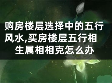 购房楼层选择中的五行风水,买房楼层五行相生属相相克怎么办
