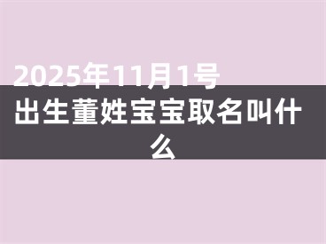2025年11月1号出生董姓宝宝取名叫什么