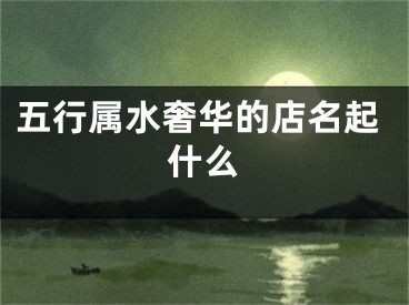 五行属水奢华的店名起什么