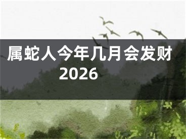 属蛇人今年几月会发财2026