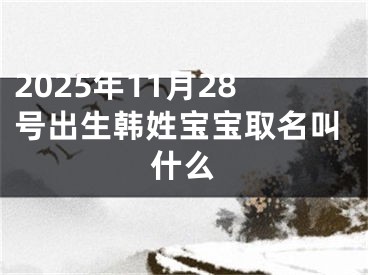 2025年11月28号出生韩姓宝宝取名叫什么