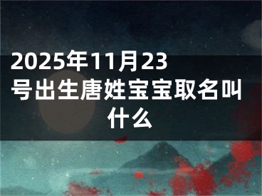 2025年11月23号出生唐姓宝宝取名叫什么