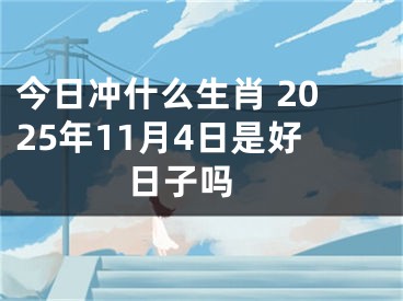 今日冲什么生肖 2025年11月4日是好日子吗 
