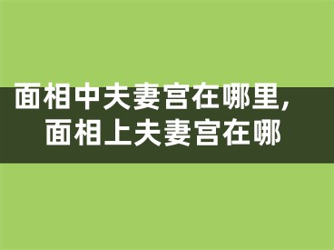 面相中夫妻宫在哪里,面相上夫妻宫在哪