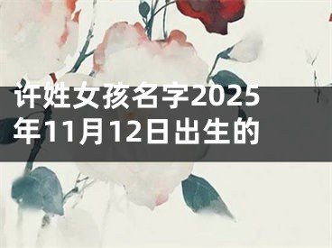 许姓女孩名字2025年11月12日出生的