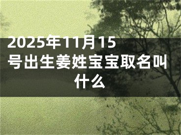 2025年11月15号出生姜姓宝宝取名叫什么