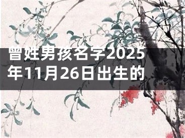 曾姓男孩名字2025年11月26日出生的