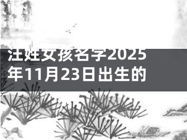 汪姓女孩名字2025年11月23日出生的