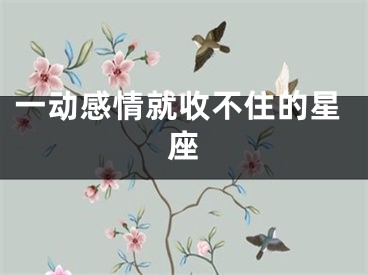 一动感情就收不住的星座