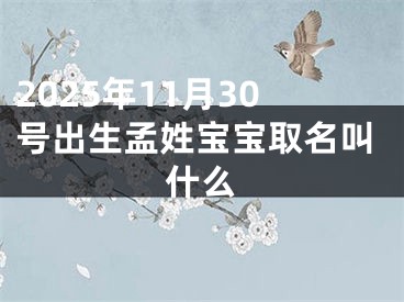 2025年11月30号出生孟姓宝宝取名叫什么