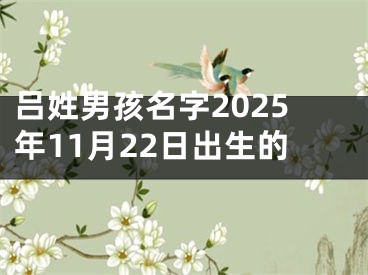 吕姓男孩名字2025年11月22日出生的