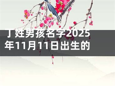 丁姓男孩名字2025年11月11日出生的