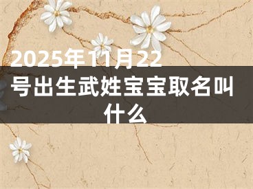 2025年11月22号出生武姓宝宝取名叫什么