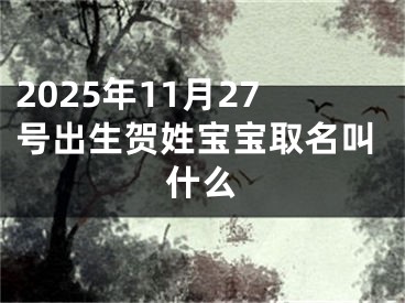 2025年11月27号出生贺姓宝宝取名叫什么